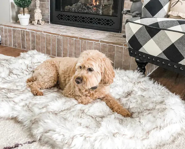 Beige Plush Pet Dog Mat for Resting and Comfort